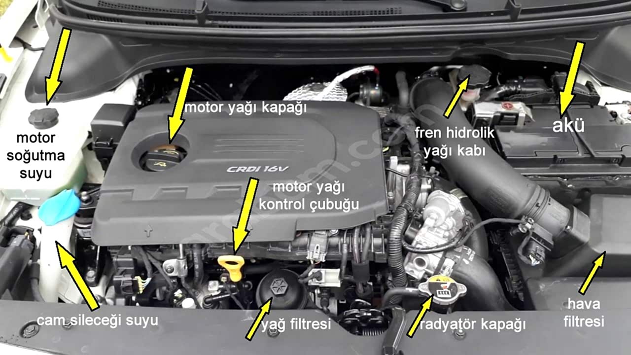 25 ŞUBAT 2023 TARİHLİ  SINAVIMIZDAN KARELER