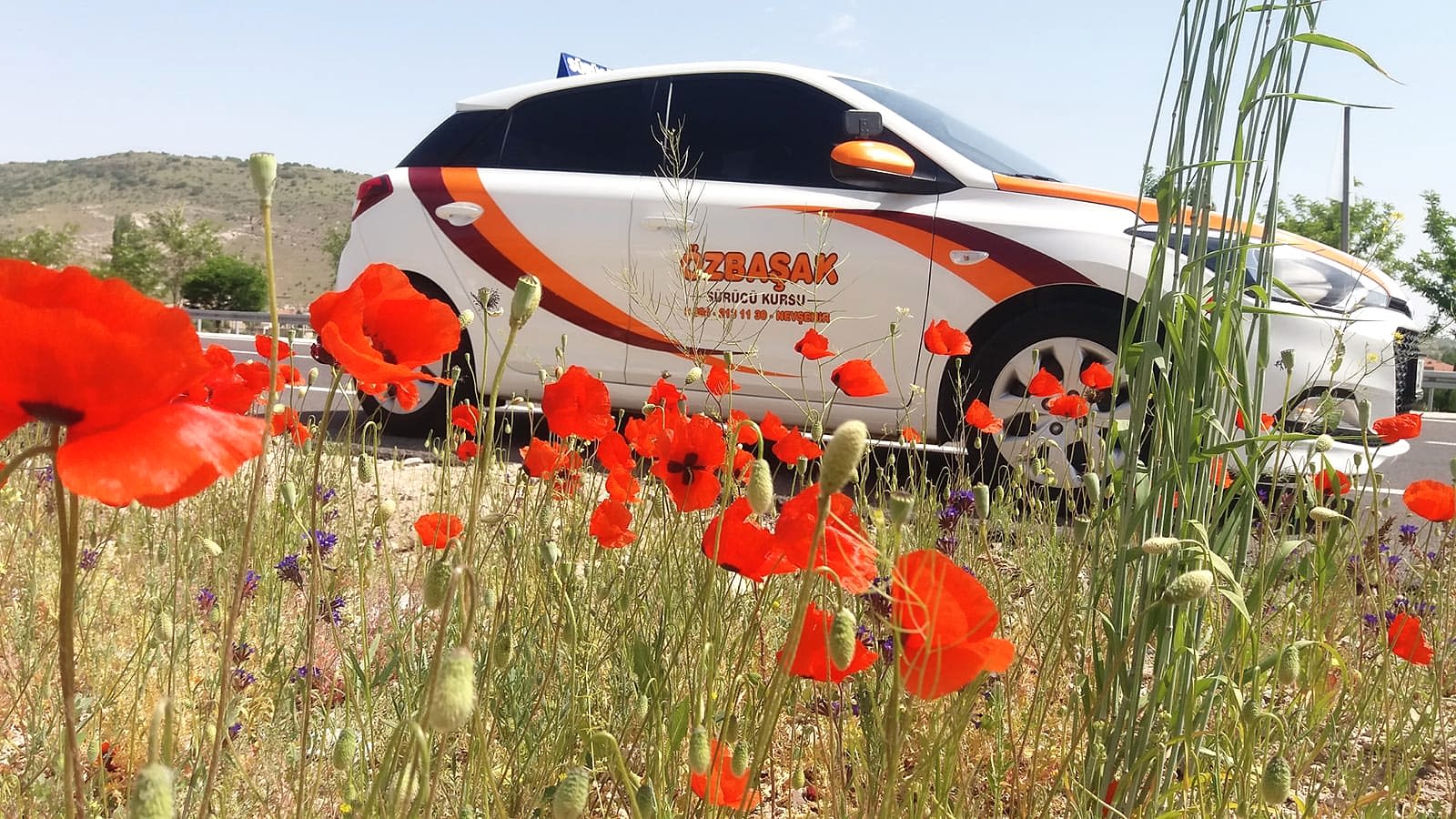 29 Temmuz 2023 Tarihli Direksiyon Sınavından Karele